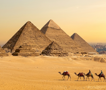 Gemini_Generated_Image_7kxp2f7kxp2f7kxp (1)