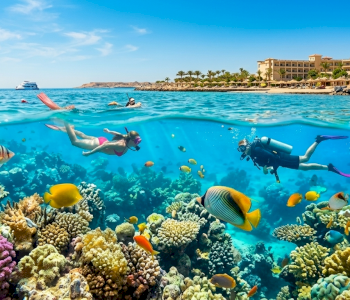 Gemini_Generated_Image_7kxp2f7kxp2f7kxp (3)