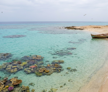 Gemini_Generated_Image_7kxp2f7kxp2f7kxp (5)